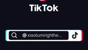 Anemo boys react to lumine /ships//