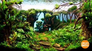 Подводный мир по месту жительства. Доброе утро. Суббота. Фрагмент выпуска от 04.03.2023