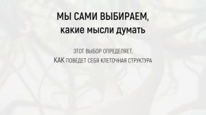 Ментальная Лаборатория Омоложения | Марта Николаева-Гарина