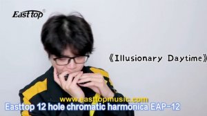 Easttop 12 hole chromatic harmonica EAP-12