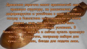 Что привезти из Казахстана