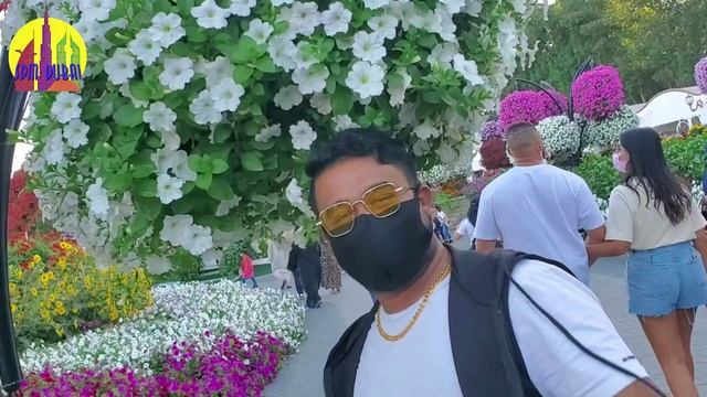 Dubai Miracle Garden #2021 | World’s Largest Flower Garden смотреть онлайн