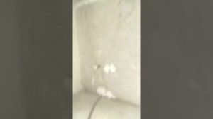 САМАЯ КРАСИВАЯ КВАРТИРА