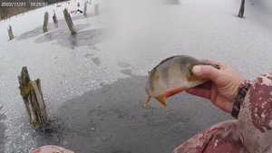 Первый лёд (1) - Наипервейший лёд!