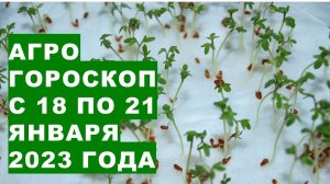 Агрогороскоп с 18 по 21 января 2023 года.  Агрогороскоп з 18 по 21 січня 2023 року