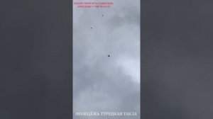 ГОЛУБИ ТУРЕЦКАЯ ТАКЛА МОЛОДЁЖЬ,АЛЕКСАНДРА 2021г PIGEONS