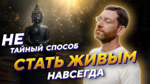 Как изменить своё состояние, начать чувствовать сердцем и быть в радости. Школа Гивина