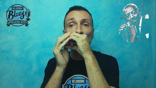 Harmonica exercise - Harmonica learning - Sonny Boy Williamson II style song смотреть онлайн