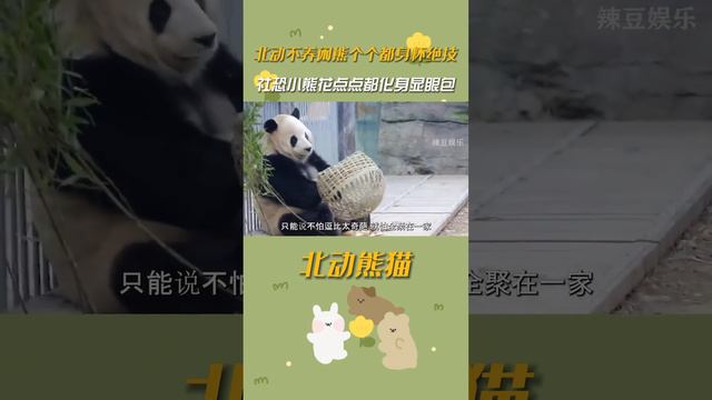 小奇蹟：我終於又出來了，先吃點筍，吃飽了才有力氣玩【辣豆娛樂】
