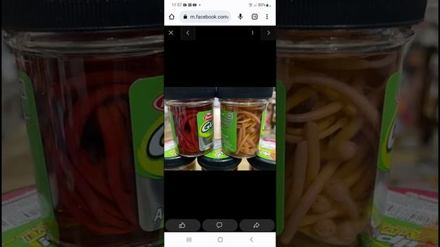 Где можно купить в Израиле червячков Berkley אפשר לקנות בארץ תולעי סיליקון смотреть онлайн
