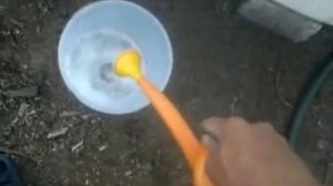 Как поймать медведку (капустянка).