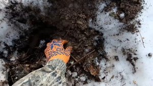 Поиск в лесу с Quest x5