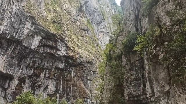 Экскурсия на озеро Рица. Абхазия 2022