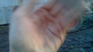 Починил мотоблок Урал . Теперь на ходу.