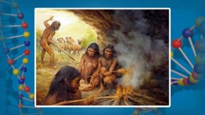 Антропогенез: появление полеоантропов. Видеоурок по биологии 11 класс