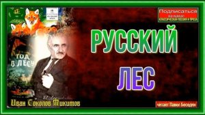 Русский лес— Иван Соколов— Микитов — читает Павел Беседин