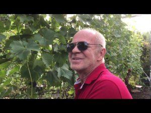 В гостях у Виктора Дерюгина. Бронницы. 12 сентября 2020 года.