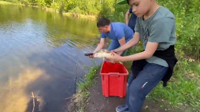 Зарыбление 21.05.2023