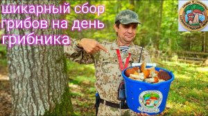 Грибники В Шоке! Вот Это Подарки От Лешего На День Грибника! Белые Грибы, Гриб Баран