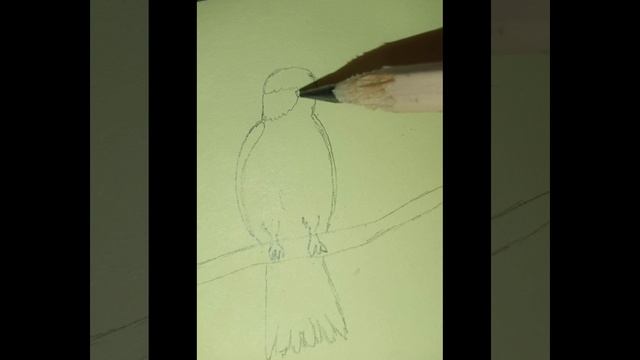 Птица смотреть онлайн