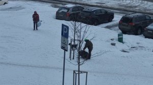 Женщина выгуливает свинью и собаку в Химках рядом с Мегой