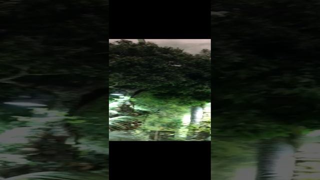 Тропический зал. Океанариум. Владивосток. смотреть онлайн