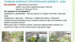 Зеленые растения сада. Наталья Мягкова