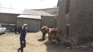 Моксохские дети, Унцукульский район, Дагестан,