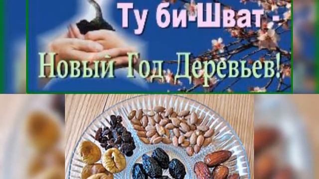 Еврейский Новый Год деревьев 🌳 смотреть онлайн