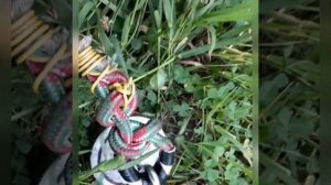 поисковый магнит F 300*2.что я купил???