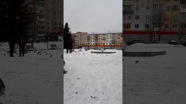 Наш первый выход после Новогодних праздников.
