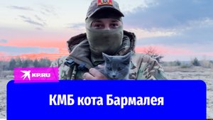 Солдат рассказал, как кот Бармалей катался на танке и летал на вертолёте