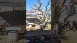 солнечное утро//убралась в доме//подвальные хроники//(1 год назад)