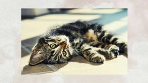 поздравления 45 лет женщине проза