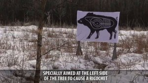 DDupleks Monolit Penetration Test - Bushes