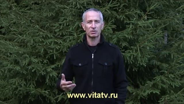 Простатит и потенция в одном яйце. Секрет рецепта