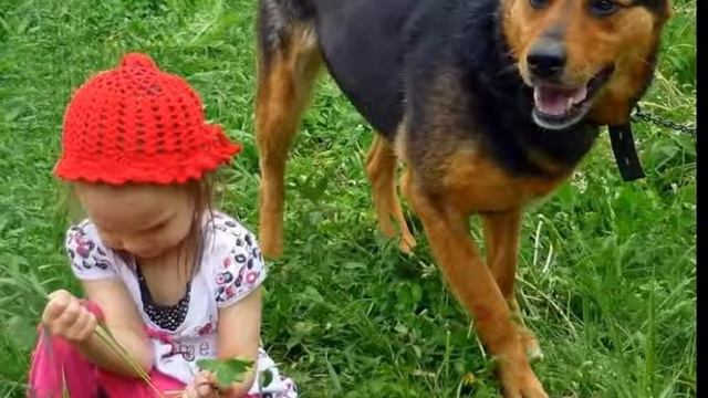 Автор ролика Виталий Тищенко (Ростов-н\Д). Шесть ног-17. Человек и собака смотреть онлайн