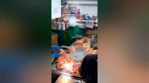 Промысел,ловля краба!