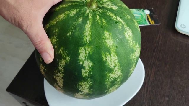 Самый самый лучший,  сорт арбуза и как понять, что ? созрел!!!