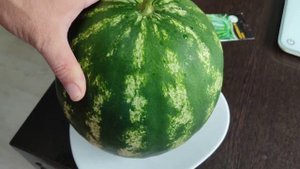 Самый самый лучший,  сорт арбуза и как понять, что ? созрел!!!