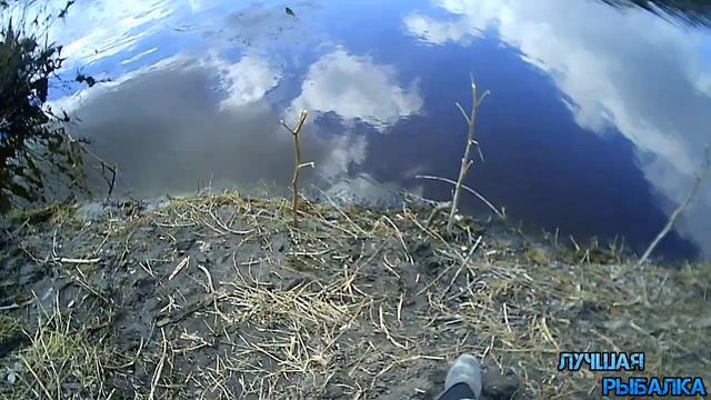 Открыли с Дедом Сезон на поплавок. Открытие сезона 2019! СХОД КРУПНОГО КАРАСЯ смотреть онлайн