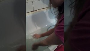 моем йоркширского терьера