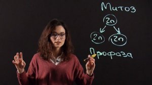 Биология 10 класс : Митоз. Амитоз