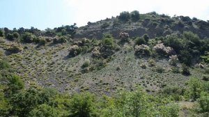 Путешествие Анапа - Большой Утриш. Дорога до дикого пляжа. Самый чистый пляж Анапы