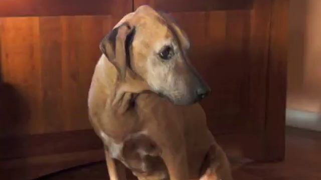 azande part 1 смотреть онлайн