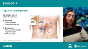 ЗНО-2022. Вебінар 11. Ендокринна система. Захворювання ендокринної системи