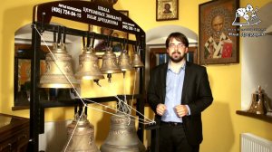025 Урок 10 Разнообразие зазвонных Слабые доли