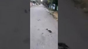 Ямочный ремонт по ул. Хмельницкого (Бишкек)