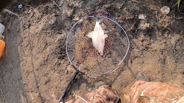 Лещ на теплом канале. Активный клев. Удачная рыбалка без всяких секретов. смотреть онлайн