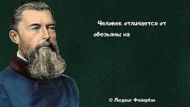 Полезные цитаты на каждый день  Меткие высказывания Лучших авторов
